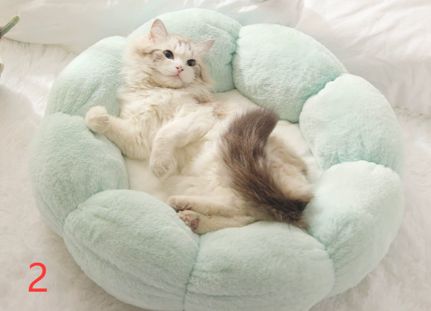 KinPaws™ Calming Indoor Pet Beds